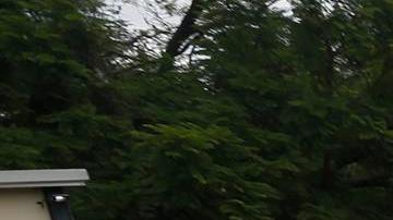 Sismo en México hospital