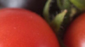 Tomates morados modificados genéticamente