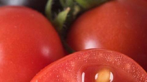 Tomates morados modificados genéticamente