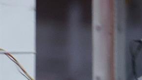 Estados Unidos eliminó a Panamá de la AmeriCup