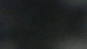 Tite respalda a Vinicius y pide que siga bailando