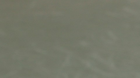 Marcelo Arévalo y el neerlandés Jean Julien Rojer celebran el triunfo que los pone en cuartos de final del US Open.