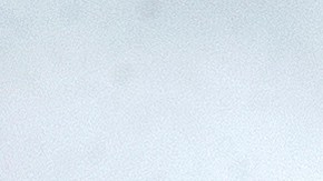 Huracán Ian Tampa Florida