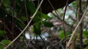 Damnificado huracán Fiona Aibonito