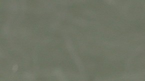 El salvadoreño Marcelo "Chelo Arévalo festeja un punto en el partido de cuartos de final.