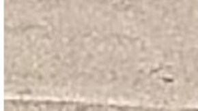 Pareja sexo coliseo California