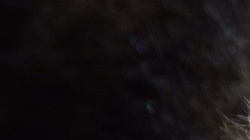 Aparentemente el mapache del bar se llama Carl.