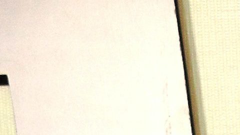 Bárbara de Regil, actriz de origen mexicano.