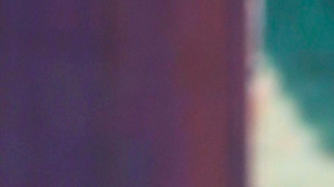 La dominicana Francisca Lachapel demuestra que con dedicación se obtiene el cuerpo que desea.