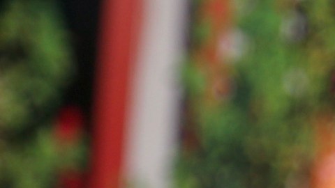 La dominicana Clarissa Molina una vez más demostró que le gusta bailar.