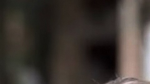 Michelle Renaud y Matías Novoa confirmaron su relación a inicios de octubre de este año.