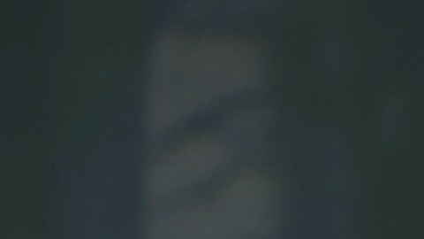 La actriz Yalitza Aparicio sorprende a sus seguidores de TikTok tras interpretar un destacado personaje.