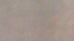 La cantante Shakira ha recibido apoyo de sus fanáticos con su nuevo tema musical..