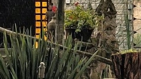 El Grupo Firme y Carín León fueron los invitados sorpresa de los XV años de Emily Cinammon.