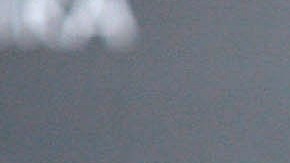 Los fanáticos de Amaia Montero creen que la cuenta de Instagram de la cantante fue hackeada.