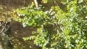 Desde hace un año afectados habían protestado una serie de remodelaciones que calificaron como "irregulares". (Archivo)