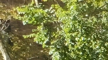 Desde hace un año afectados habían protestado una serie de remodelaciones que calificaron como "irregulares". (Archivo)