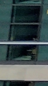 Protesta diaspora Luma Energy en Manhattan