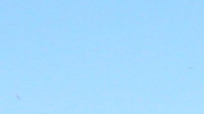 Doctora Nancy Álvarez.