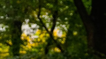 La nueva norma anunciada por el Alcalde Eric Adams entrará en vigencia el próximo mes de abril.