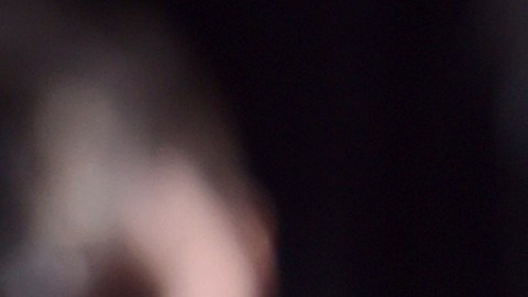 Marion Cotillard logró pagar mucho menos de lo que se pedía inicialmente por la mansión.