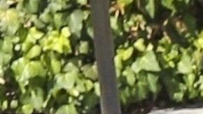 Stormi le ha robado todo el protagonismo a Kylie Jenner.