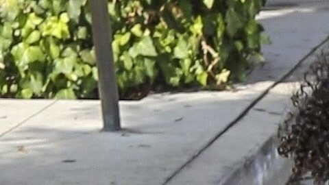 Stormi le ha robado todo el protagonismo a Kylie Jenner.