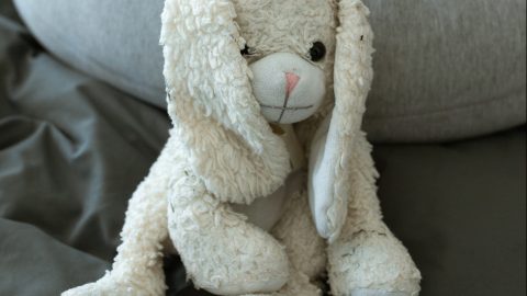 Oso de peluche