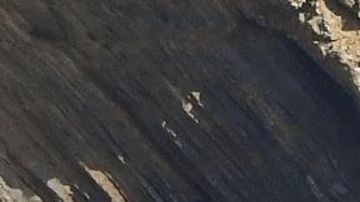 Elizabeth Debicki  fue fotografiada en el yate Titania de Lürssen.