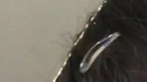 Fatiha Marzan Florida