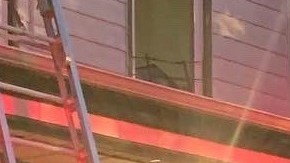 El FDNY compartió algunas imágenes del incendio en El Bronx.