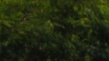 HONDURAS-TRANSPORT-STRIKE