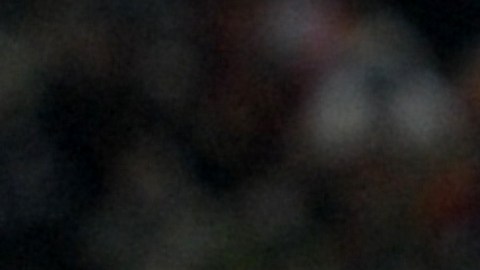 Casillas y Puyol