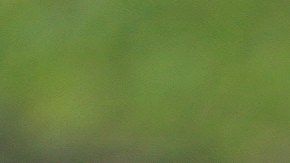 La bella Paige Spinarac durante el torneo de golf Bass Pro Legends.