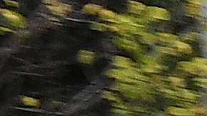 México Drogas Metanfetamina Fentanilo California Estados Unidos