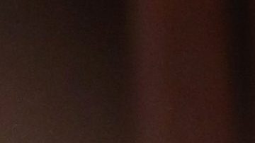 Un hombre de Florida se ha vuelto viral en las redes sociales por un video en el que quema toda su colección de 40 pares de zapatillas Yeezy, de la línea de Kanye West.