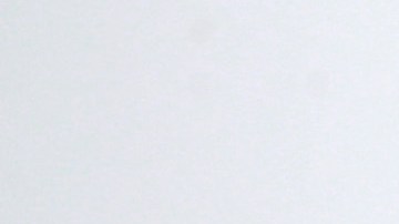 Wisin y Yandel se unieron como co-propietario de los Criollos de Caguas.