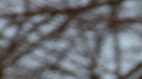 La mujer murió en el Hospital Norte de la Universidad de Staten Island.