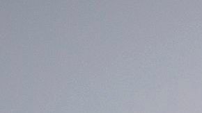 La jirafa pisoteó a la niña de 16 meses hasta matarla.