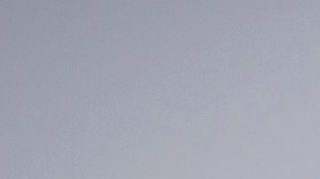 La jirafa pisoteó a la niña de 16 meses hasta matarla.