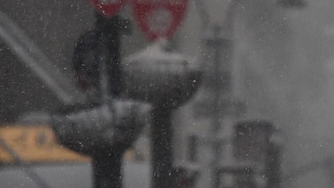 El invierno en Nueva York podría pasar de muy bajas temperaturas a algunas templadas, según expertos.
