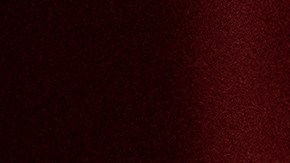 Amy Coney Barret Supremo