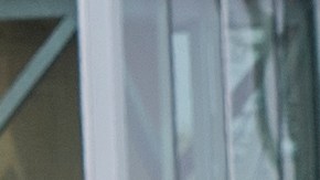 Los Ángeles Persecución Policial Homicidio