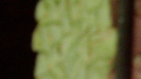 GUATEMALA-VIOLENCE-PRISON-POLICE