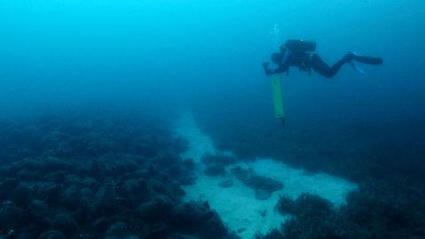 Los científicos encontraron especies raras en la "Zona de Captura".