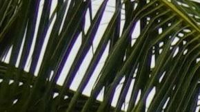 MEXICO-TROPICAL-STORM-OLAF