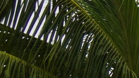 MEXICO-TROPICAL-STORM-OLAF