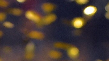 Real Betis es el vigente campeón de la Copa del Rey.