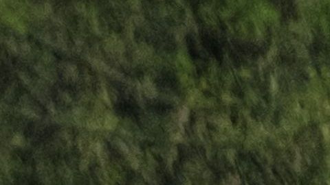 Kiev informó que sus tropas habían rodeado hasta 5,000 de las tropas de Putin en el lugar estratégico.