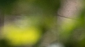 US-INTERNET-MERGER-TWITTER-MUSK